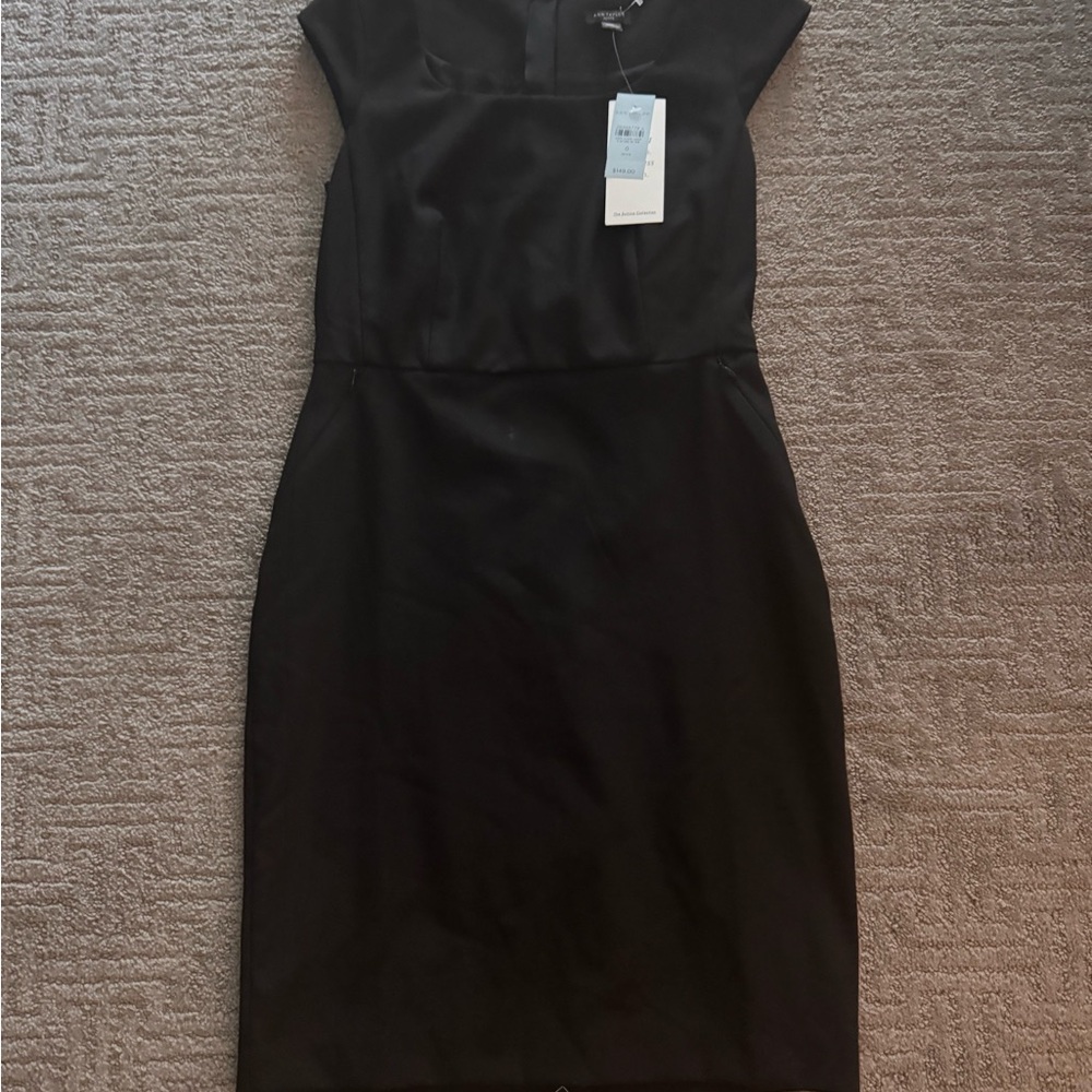 Ann Taylor The Scoop Neck Dress in Bi-Stretch Size 0 P NWT - Picture 6 of 8